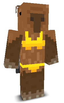 User's Minecraft appearance