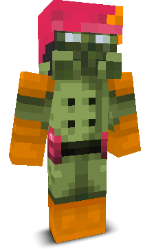 User's Minecraft appearance