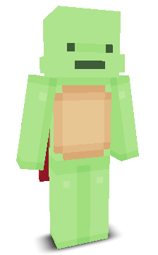 User's Minecraft appearance