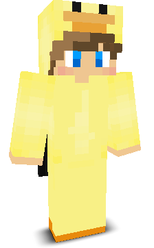 User's Minecraft appearance