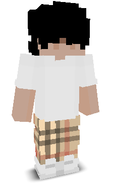User's Minecraft appearance