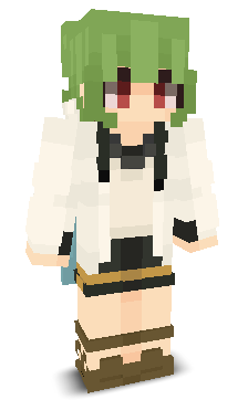 User's Minecraft appearance