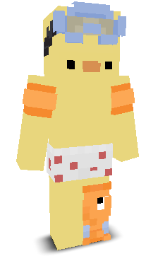 User's Minecraft appearance