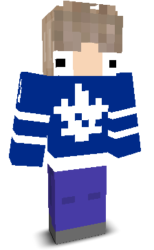 User's Minecraft appearance