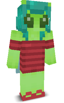 User's Minecraft appearance