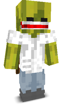 User's Minecraft appearance