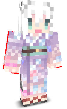 User's Minecraft appearance