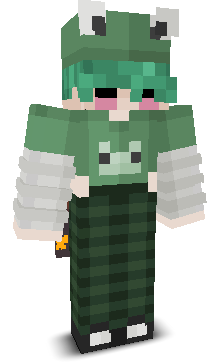 User's Minecraft appearance