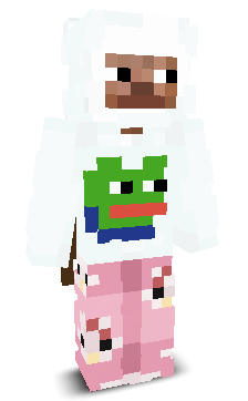 User's Minecraft appearance