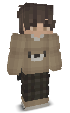 User's Minecraft appearance