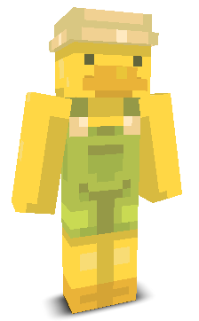 User's Minecraft appearance