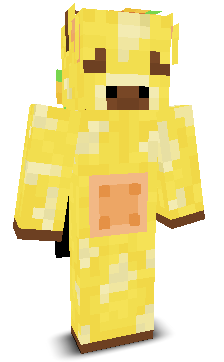 User's Minecraft appearance