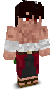 User's Minecraft appearance