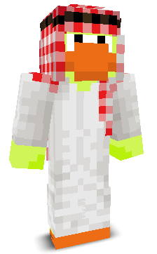 User's Minecraft appearance