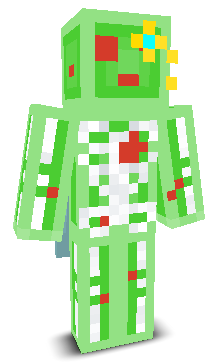 User's Minecraft appearance