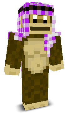User's Minecraft appearance