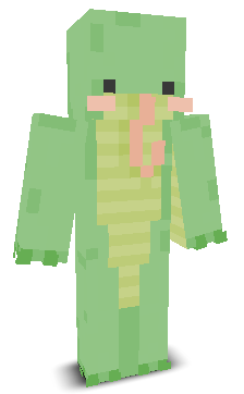 User's Minecraft appearance