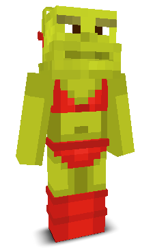 User's Minecraft appearance
