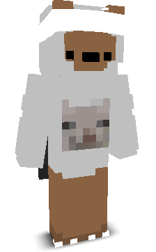 User's Minecraft appearance