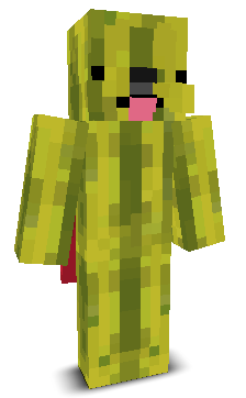 User's Minecraft appearance