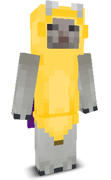 User's Minecraft appearance