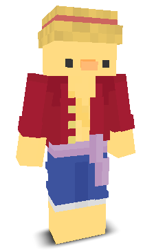 User's Minecraft appearance
