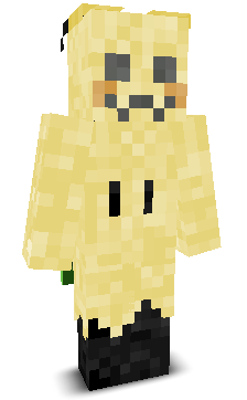 User's Minecraft appearance