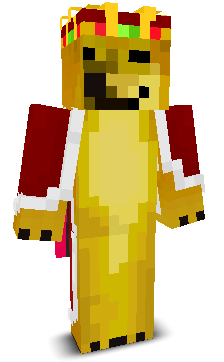 User's Minecraft appearance