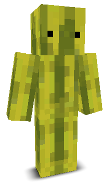 User's Minecraft appearance
