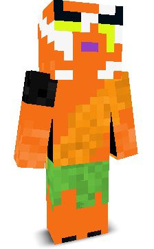 User's Minecraft appearance