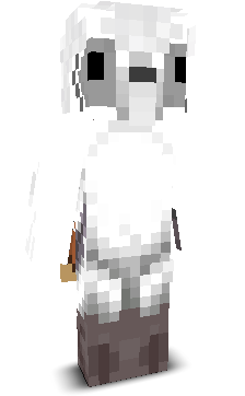 User's Minecraft appearance