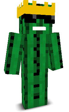 User's Minecraft appearance