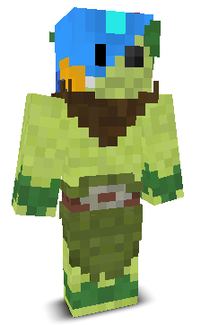 User's Minecraft appearance