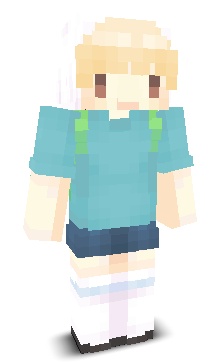 User's Minecraft appearance