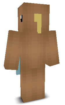 User's Minecraft appearance