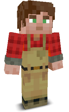 User's Minecraft appearance