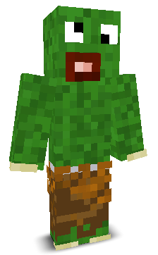 User's Minecraft appearance