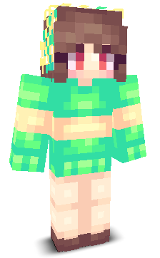 User's Minecraft appearance