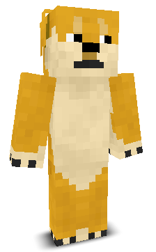 User's Minecraft appearance