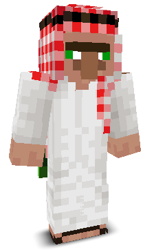 User's Minecraft appearance