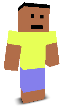 User's Minecraft appearance