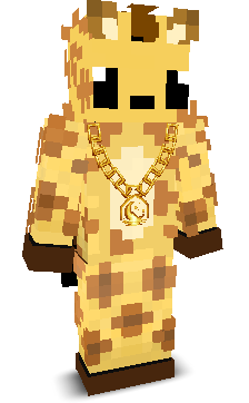 User's Minecraft appearance