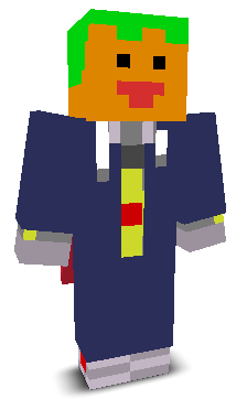 User's Minecraft appearance