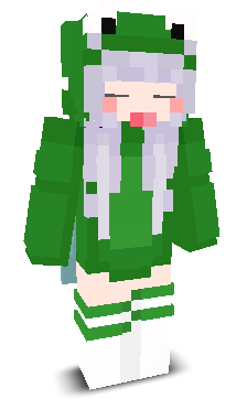 User's Minecraft appearance