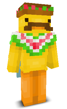User's Minecraft appearance