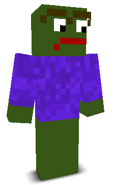 User's Minecraft appearance