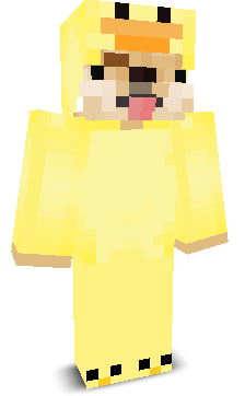 User's Minecraft appearance
