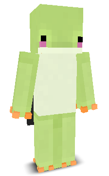 User's Minecraft appearance