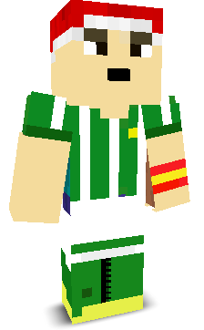 User's Minecraft appearance