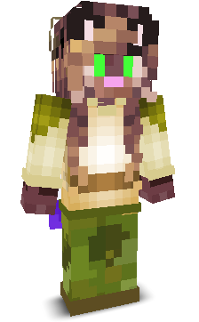 User's Minecraft appearance